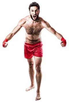 Furious boxer Stock Photos