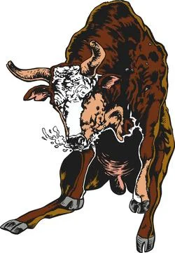 Furious Bull Charging Forward, Aggressive Animal Illustration Stock Illustration