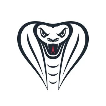 Furious cobra head, vector illustration 스톡 일러스트