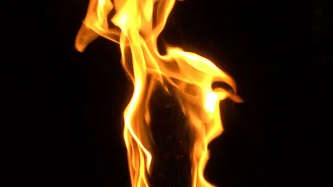 Furious fire on a black background. | Stock Video | Pond5