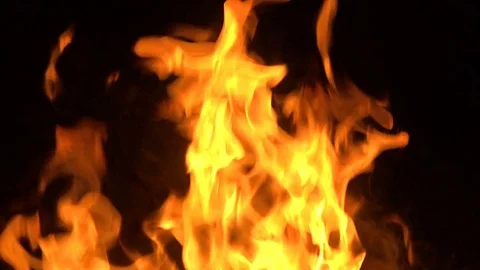 A furious fire on a black background. Stock Video Pond5