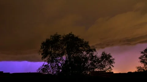 Furious Lightning Storm behind Tree Stock Footage