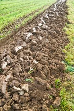 Furrow Stock Photos