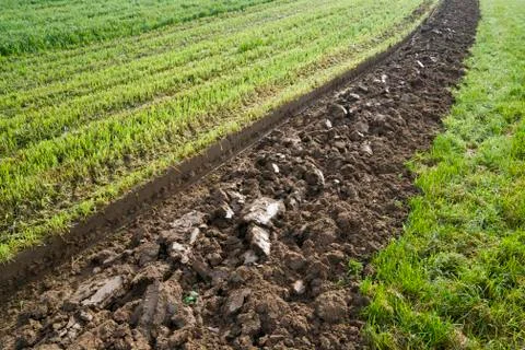 Furrow Stock Photos