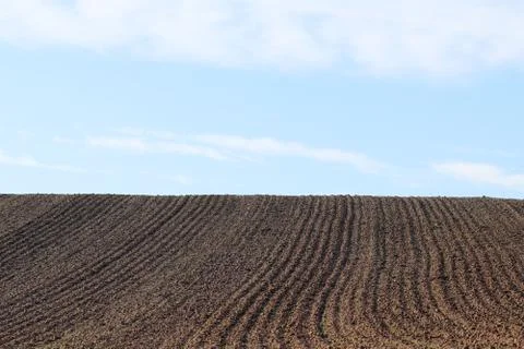 The furrows of the plowed field at the edge of the forest. Free soil for plan Stock Photos