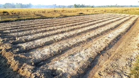 Furrows row pattern of plowed agricultural fields prepared for planting crops Stock Photos