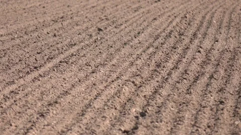Furrows row pattern in a plowed field prepared for planting crops in spring Stock Footage 282197665