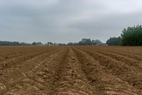 Furrows row pattern in a plowed field prepared for planting crops in spring Stock Photos