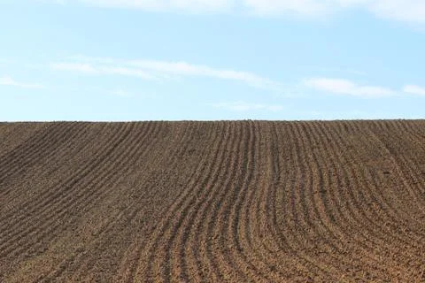 Furrows row pattern in a plowed field prepared for planting crops in spring.  Stock Photos