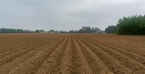 Furrows row pattern in a plowed field prepared for planting crops in spring Stock Photos