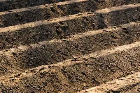 Furrows row pattern in a plowed field prepared for planting crops in spring. Stock Photos