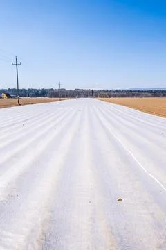 Furrows row pattern in a plowed field prepared for planting crops in spring. Stock Photos