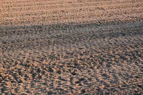 Furrows row pattern in a plowed field prepared for planting crops in spring. Stock Photos
