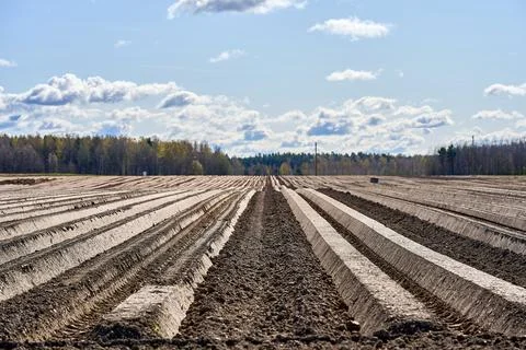 Furrows row pattern in a plowed field prepared for planting Stock Photos