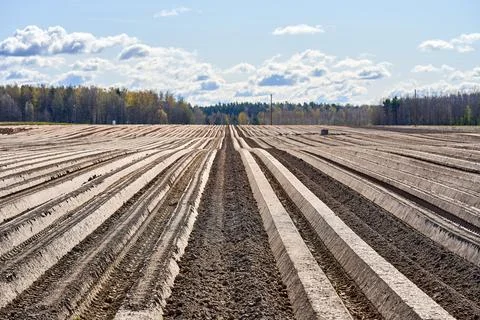 Furrows row pattern in a plowed field prepared for planting Stock Photos
