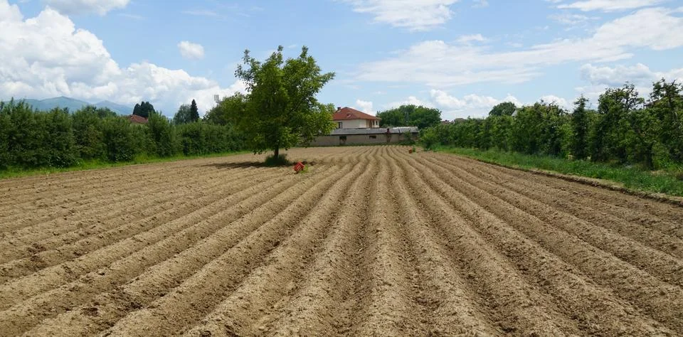 Furrows row pattern in a plowed field prepared for planting crops in spring Stock Photos