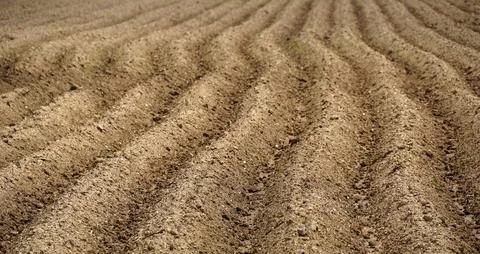 Furrows row pattern in a plowed field prepared for planting crops in spring Stock Photos