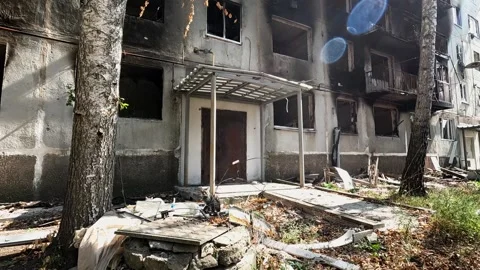Furry cat looking into camera with destroyed building at background in Ukraine.  Stock Footage 343284025