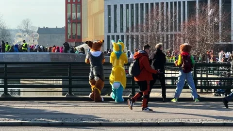 Furry Convention at Malmo Live with Two Costumed Attendees Overlooking a Crowd Stock Footage 305056673