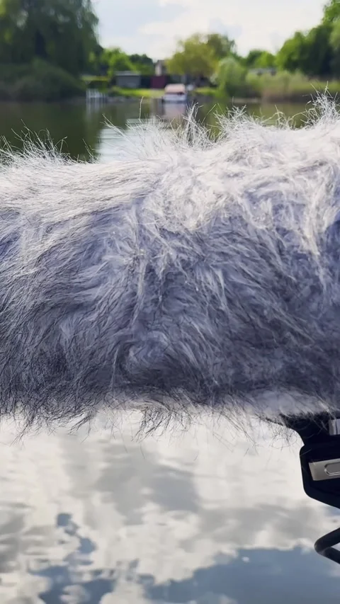 Furry Microphone Windscreen Beside Canoe Sprint Water Stock Footage 345095678