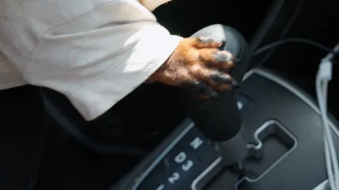 Furry paw shifting an automatic car gear lever Stockbeeldmateriaal 339384712