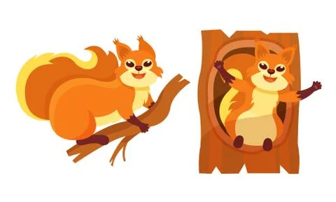 Furry Squirrel Sitting on Branch and in Tree Hollow Vector Set 스톡 일러스트