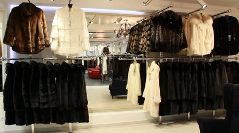 Furs in the furshop 스톡 동영상 47834350