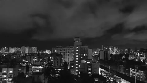 Fuscous Stock Footage 136479261