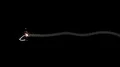 Fuse burning lit moving across screen flame sparks pyro fireworks tnt bomb 4k 4k or 4k+ Resolution