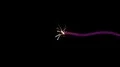 Fuse burning lit moving across screen flame sparks pyro fireworks tnt bomb 4k 4k or 4k+ Resolution