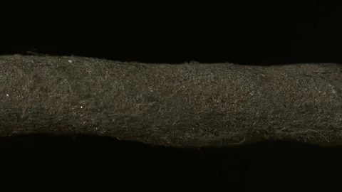 Fuse is lit close-up. Bomb Stock Footage 69906005