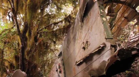 Fuselage of crashed aircraft in jungle 库存影片 28500353