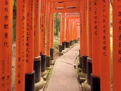 Fushi Inari Taisha, Kyoto Red Torii Gates, Japan. Color Graded Stock Footage