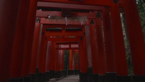 Fushimi Inari red torri gate Stock Footage 84340123