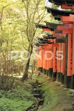 Fushimi Inari Shrine Stock Photos