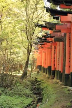 Fushimi Inari Shrine Stock Photos