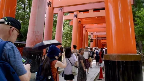 Fushimi Inari Taisha Stock Footage 286279966