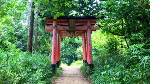 Fushimi Inari Taisha Stock Footage 286376524