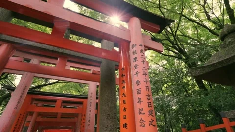 Fushimi Inari Taisha, Iconic Red Torii Gates in Kyoto, Japan Stock Footage 321519829
