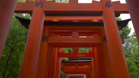 Fushimi-Inari Taisha, walk though torii gate in the rain, kyoto, japan Video stock 277945804