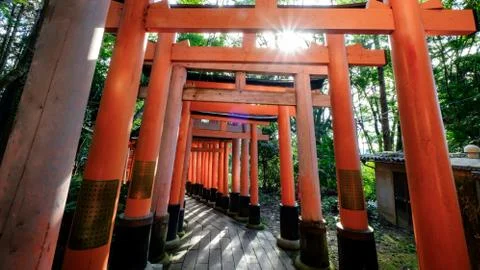 Fushimi Sun Rays Stock Photos