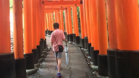 Fushina Inari Stock Footage 99759610