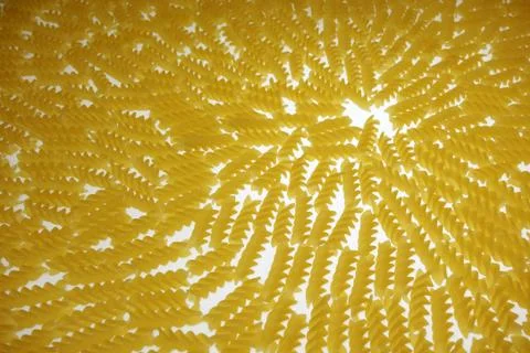 Fusilli composition Stock Photos