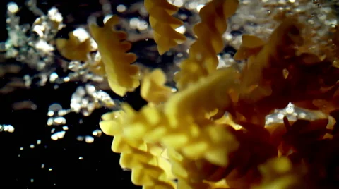 Fusilli Pasta Falling into Water Stock Footage 51632461