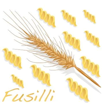 Fusilli pasta vector illustration Stock Illustration