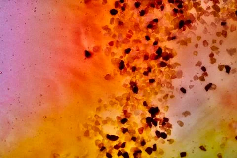 Fusion of colours in fluid 写真素材