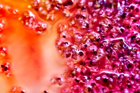 Fusion of colours in fluid 写真素材