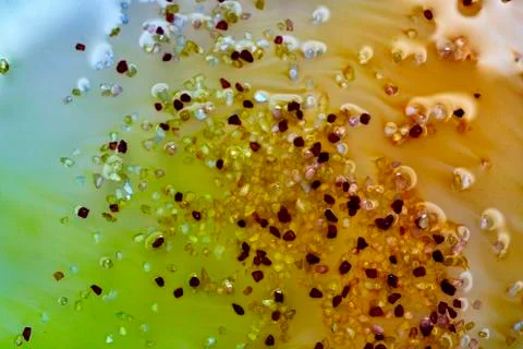 Fusion of colours in fluid Stock Photos