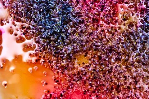 Fusion of colours in fluid Stock Photos