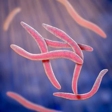 Fusobacterium, 3D illustration. An oral bacterium that causes periodontal dis Stock Illustration